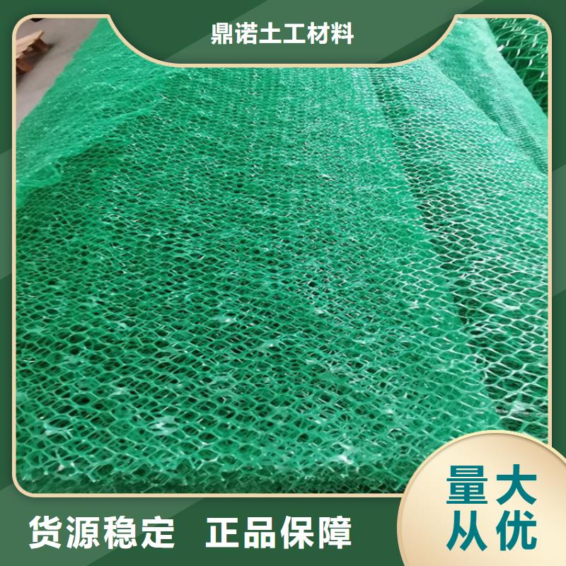 三維土工網(wǎng)墊EM3護(hù)坡