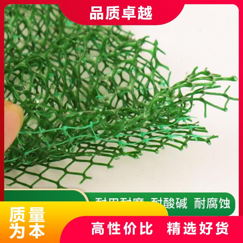 三維固土網墊-三維網墊