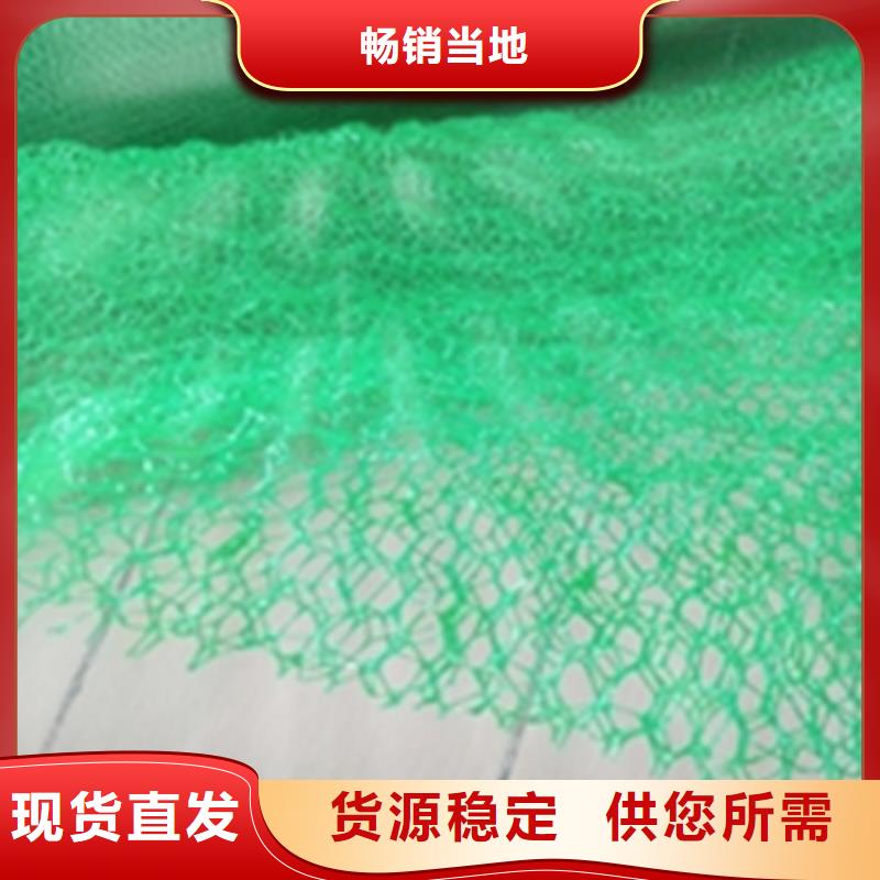 EM4三維護坡植草網墊-綠色三維植被網