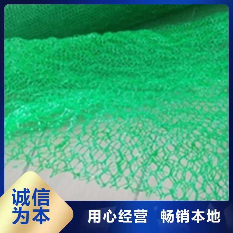 三維土工網墊-三維加筋網墊