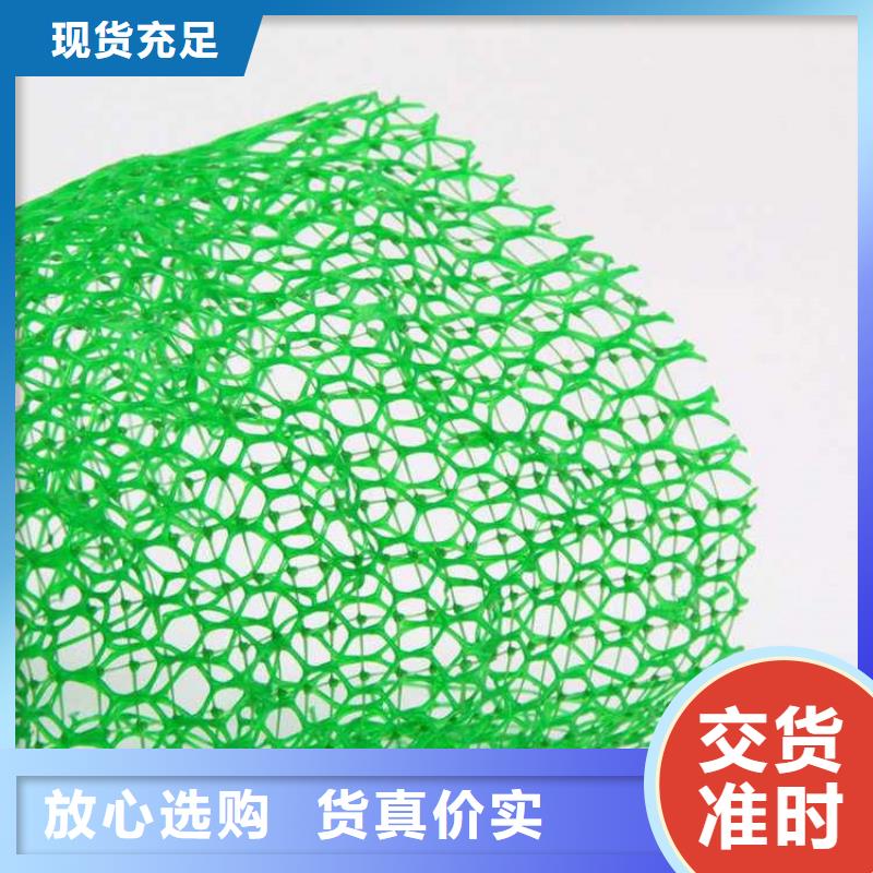 三維土工網(wǎng)墊公司-批發(fā)