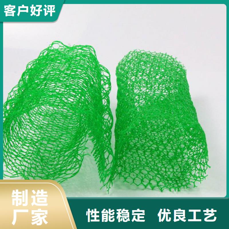三維植被網-三維土工網墊