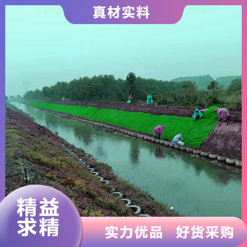 三維土工網(wǎng)墊公司-批發(fā)