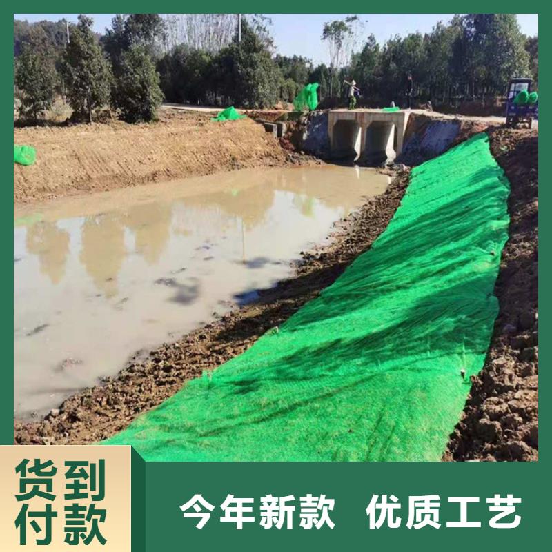 三維植被網(wǎng)土工格柵品質(zhì)保障售后無憂