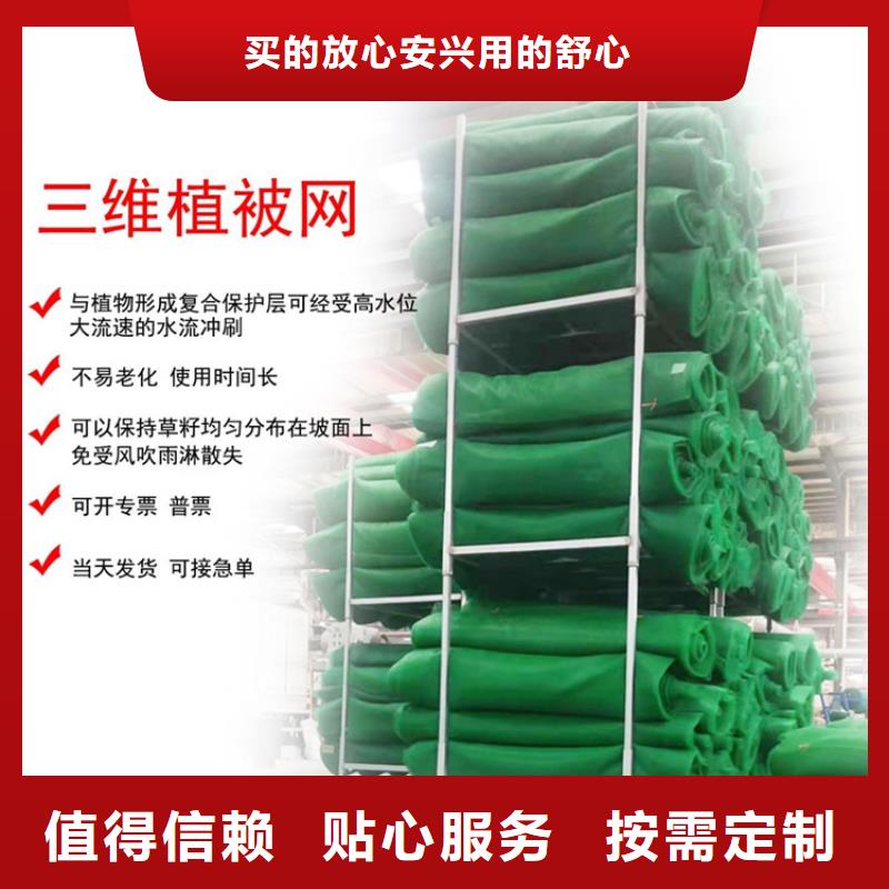 三維植被網抗裂貼安心購