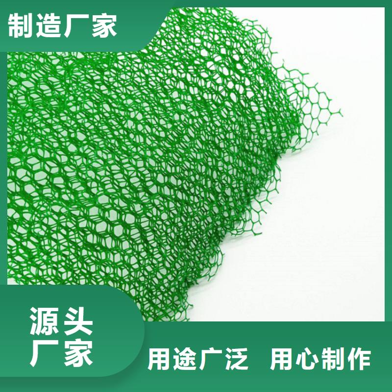 綠化加筋加筋護坡植草網墊