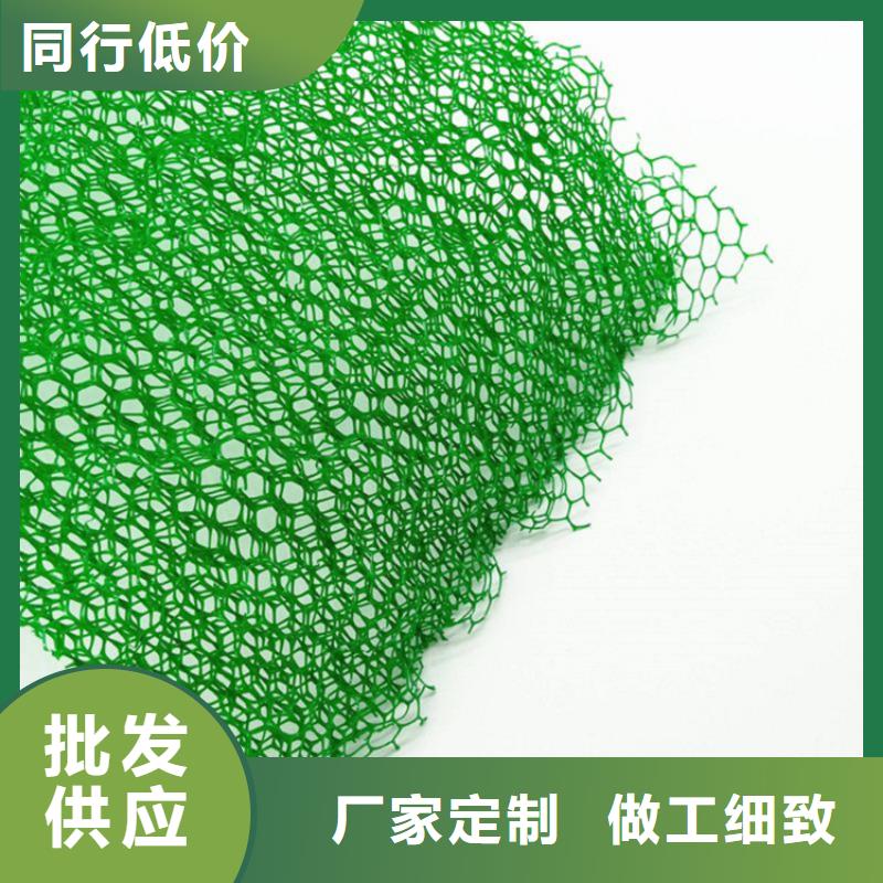 【三维植被网】-土工布源厂直销