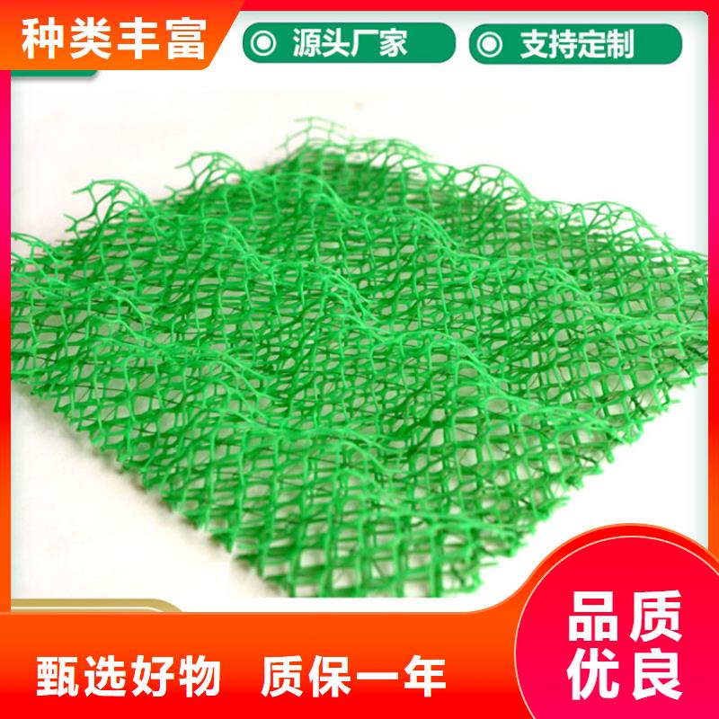 塑料環保加筋護坡植草網墊
