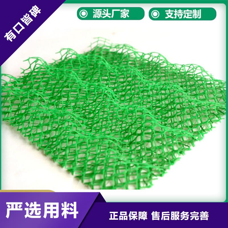 三維植被網護坡EM3