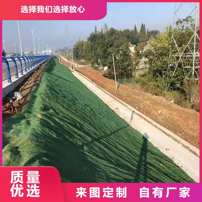 三維固土網(wǎng)墊EM5三維護坡植草網(wǎng)墊
