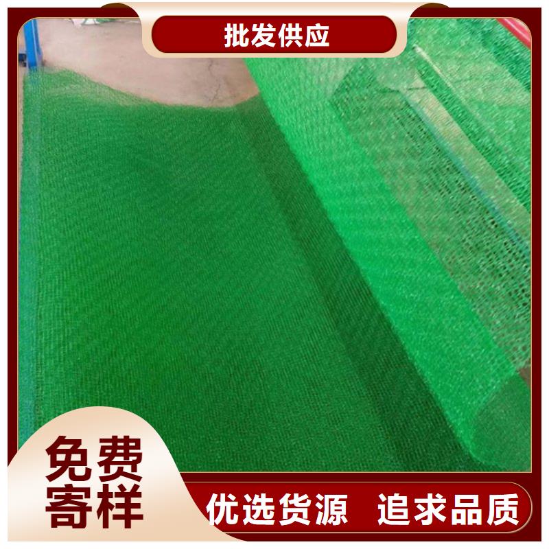 三維土工網墊-EM4三維護坡植草網墊