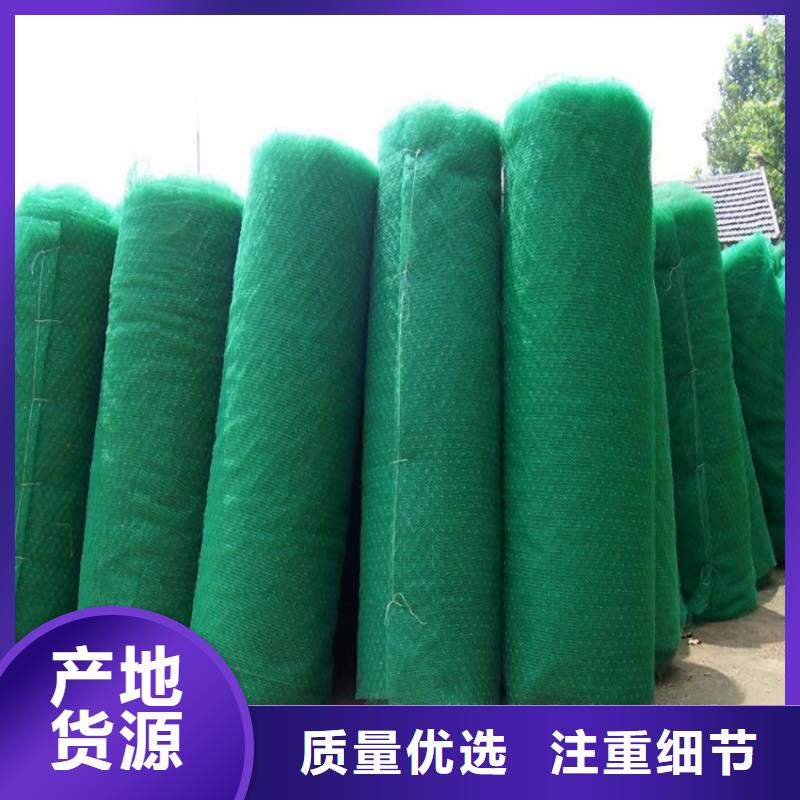 三維固土網(wǎng)墊EM5三維護(hù)坡植草網(wǎng)墊