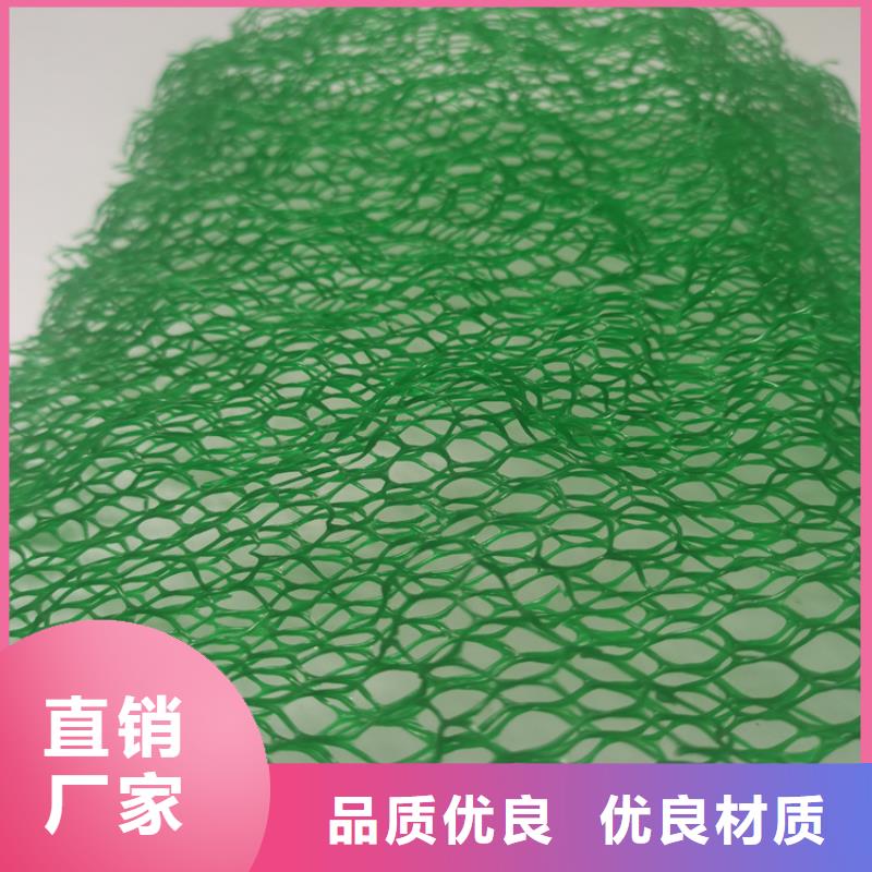 三維固土網墊EM3三維土工網墊