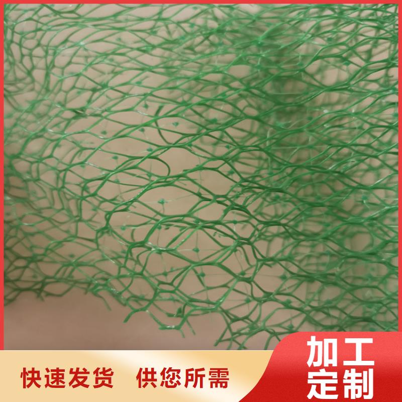 三维植被网,网格布品质优选