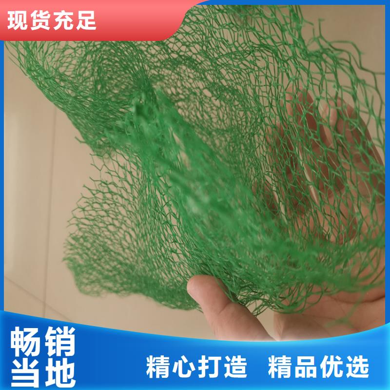 三維植被網(wǎng)土工格柵品質(zhì)保障售后無憂