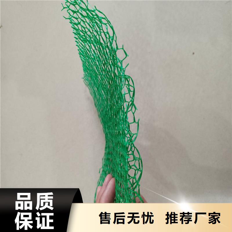 三維植被網排水板采購