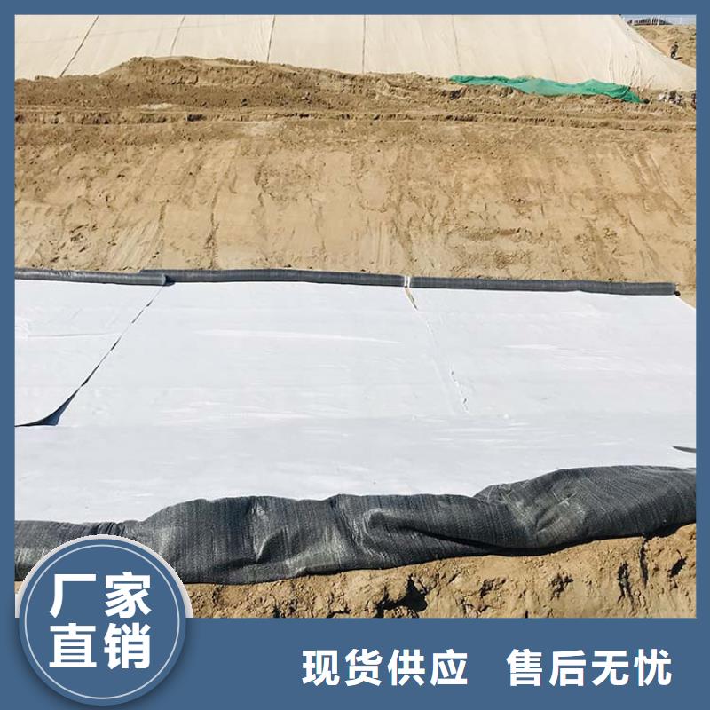 膨潤土防水毯土工膜好貨直銷