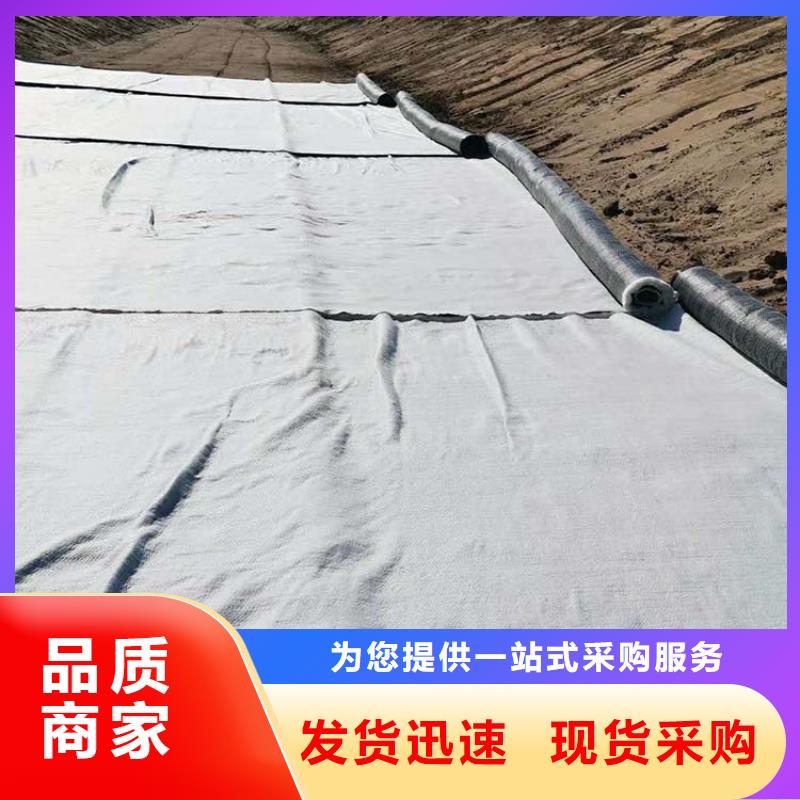 膨潤土防水毯專業的生產廠家