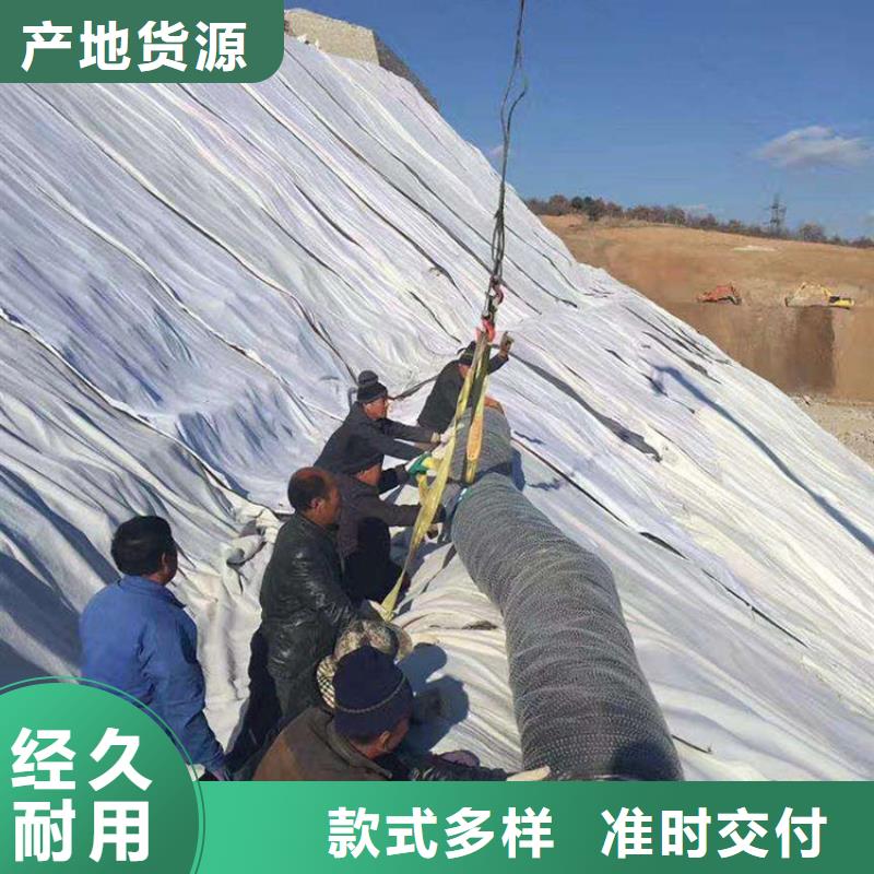 膨潤土防水毯土工膜好貨直銷