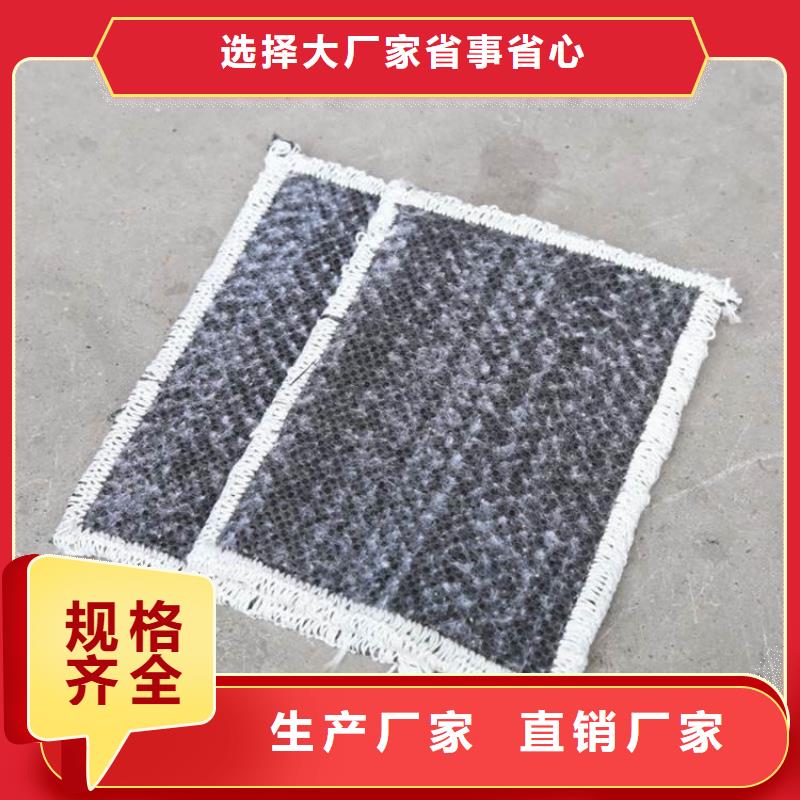 膨潤土防水毯專業的生產廠家