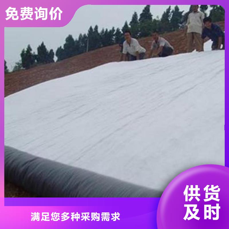 膨潤土防水毯三維植被網把實惠留給您