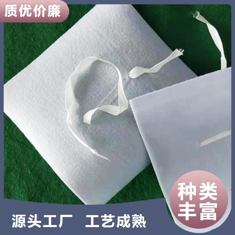 【防水板】土工膜多年實力廠家