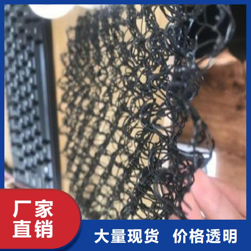 水土保護毯雙向塑料土工格柵優選原材