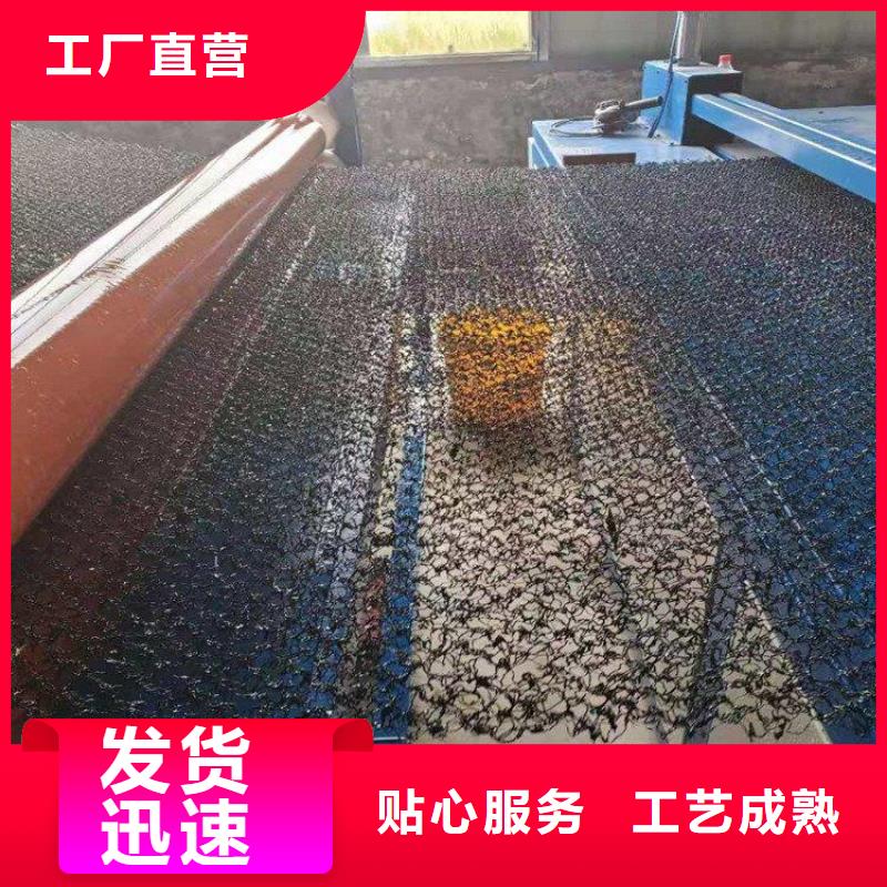 水土保護毯_網(wǎng)格布廠家銷售