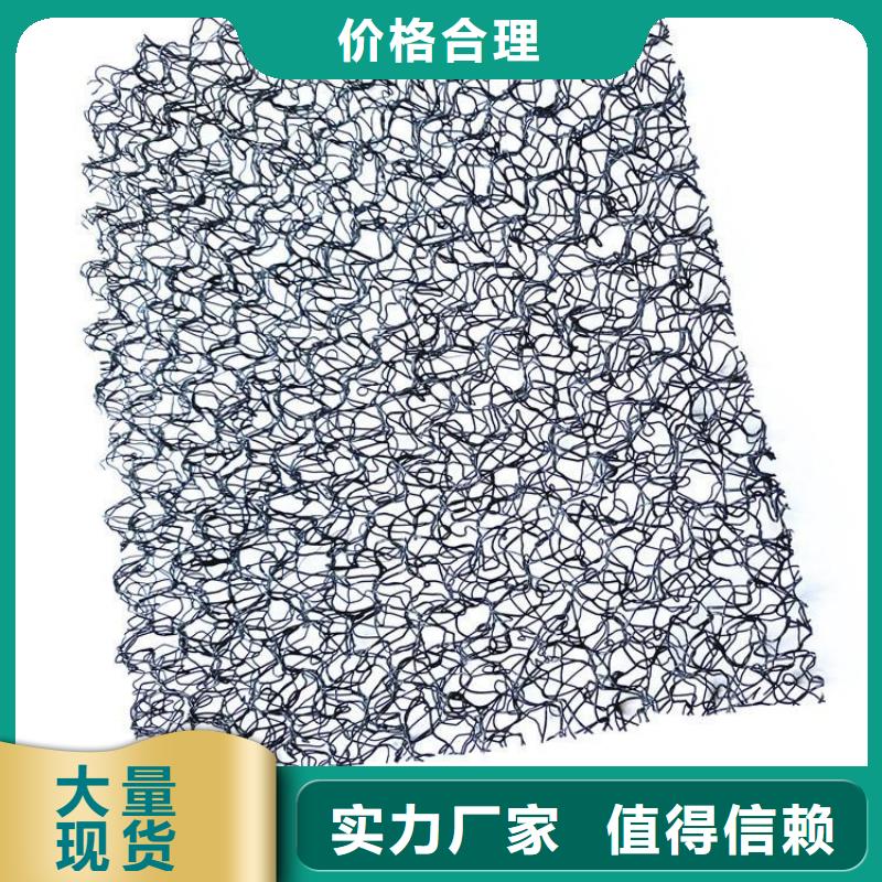 水土保護毯_網格布廠家銷售