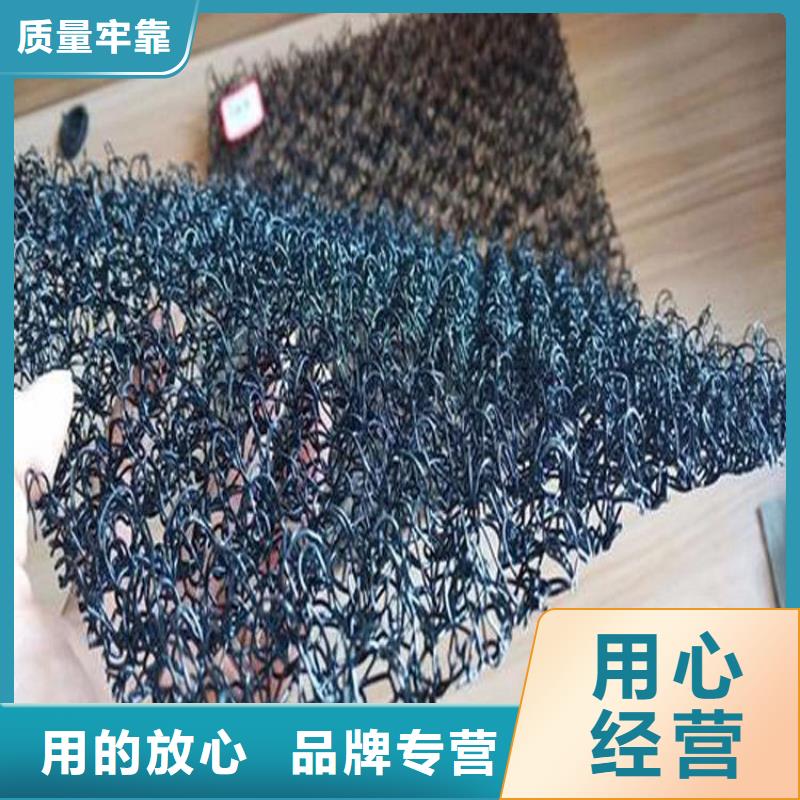 水土保護毯雙向塑料土工格柵優選原材