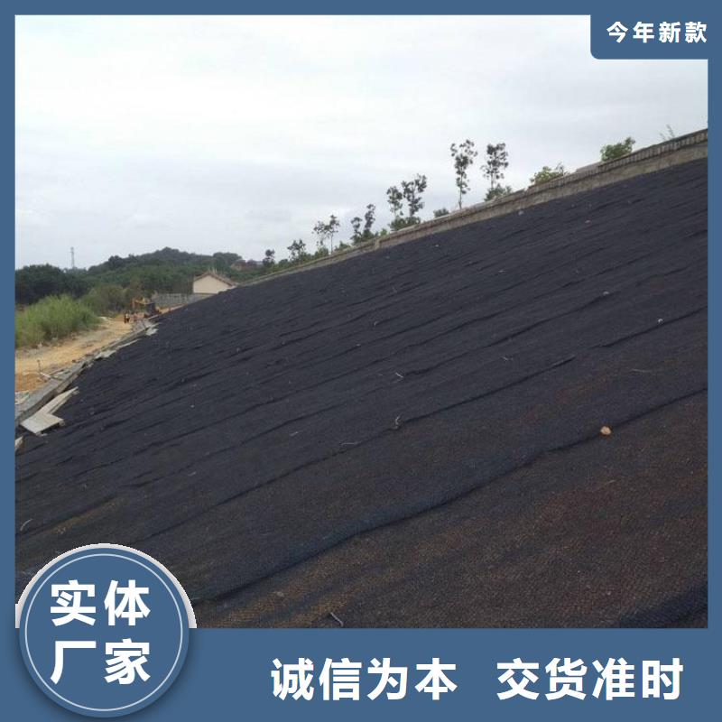 水土保護毯抗裂貼根據要求定制