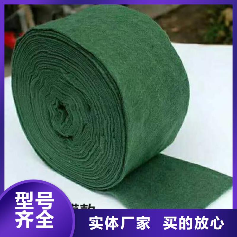 裹樹布-鋼塑土工格柵精工打造