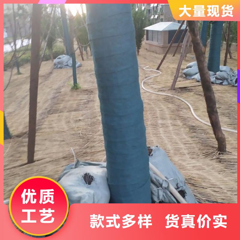 【裹樹布土工布海量貨源】