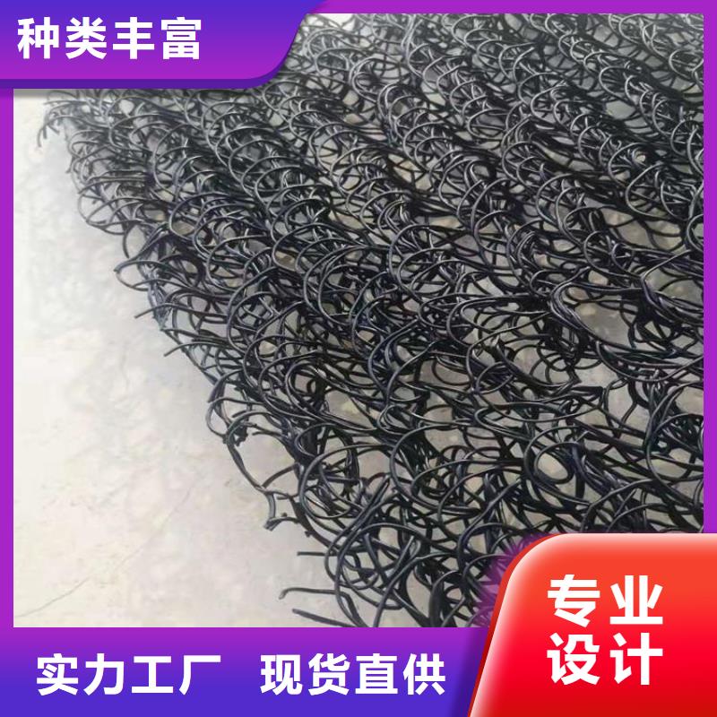 土工席墊滌綸格柵源頭廠家直銷