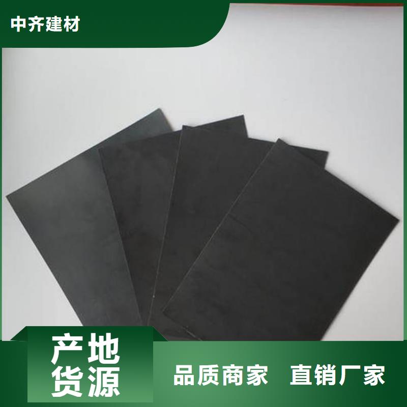 垃圾填埋場防滲土工膜