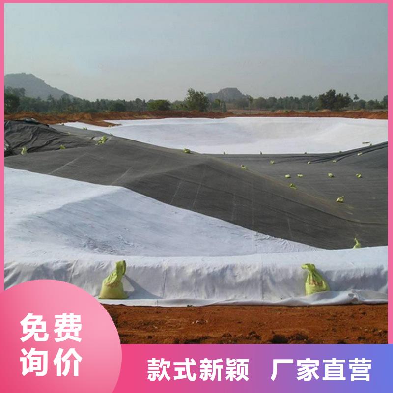 高密度聚乙烯土工膜-1.0mm土工膜