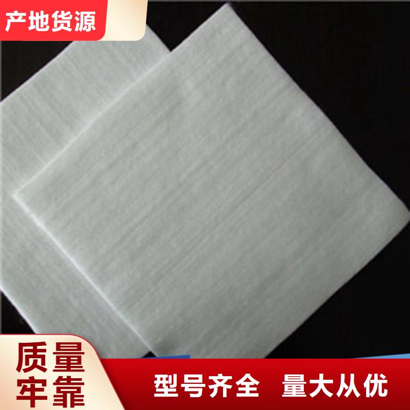 土工布-防水板認準大品牌廠家