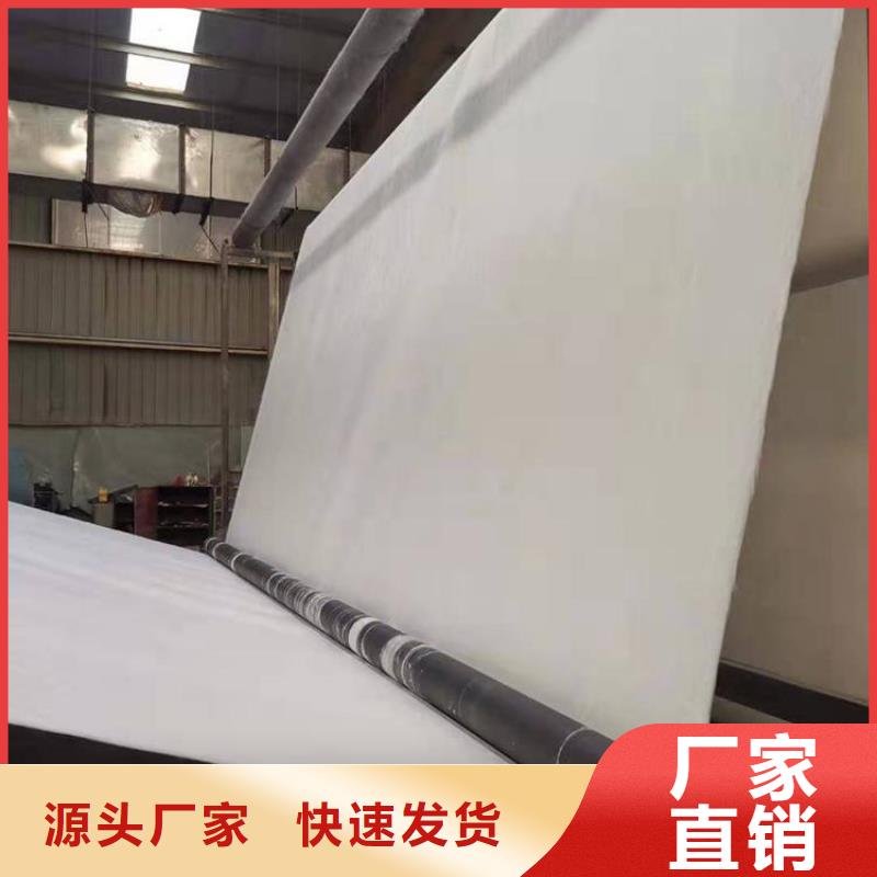 土工布-双向塑料土工格栅现货实拍