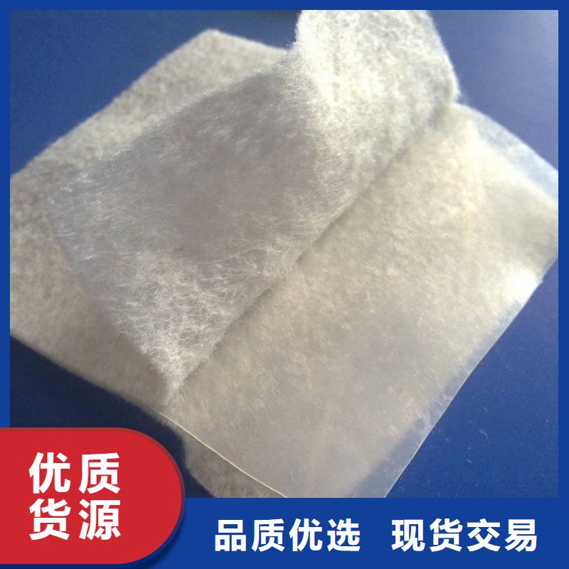 防滲土工布