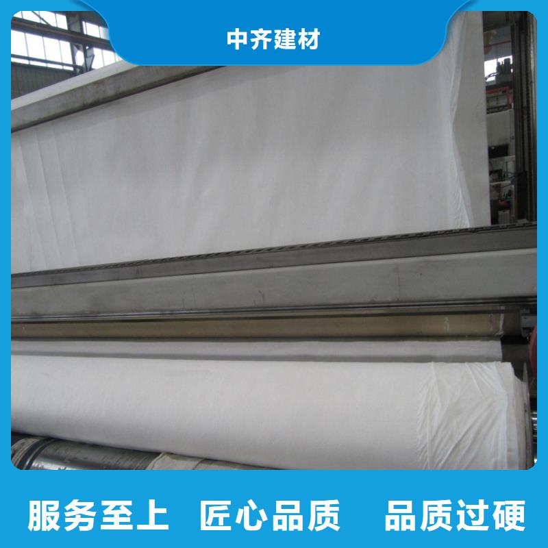 防滲濾水土工布