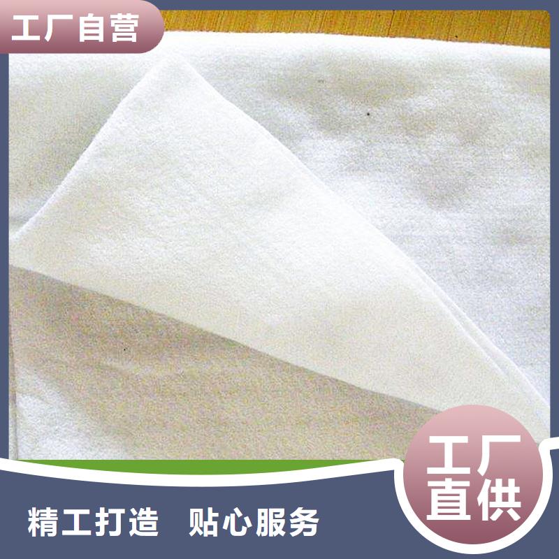 土工布,土工格栅品质保障价格合理