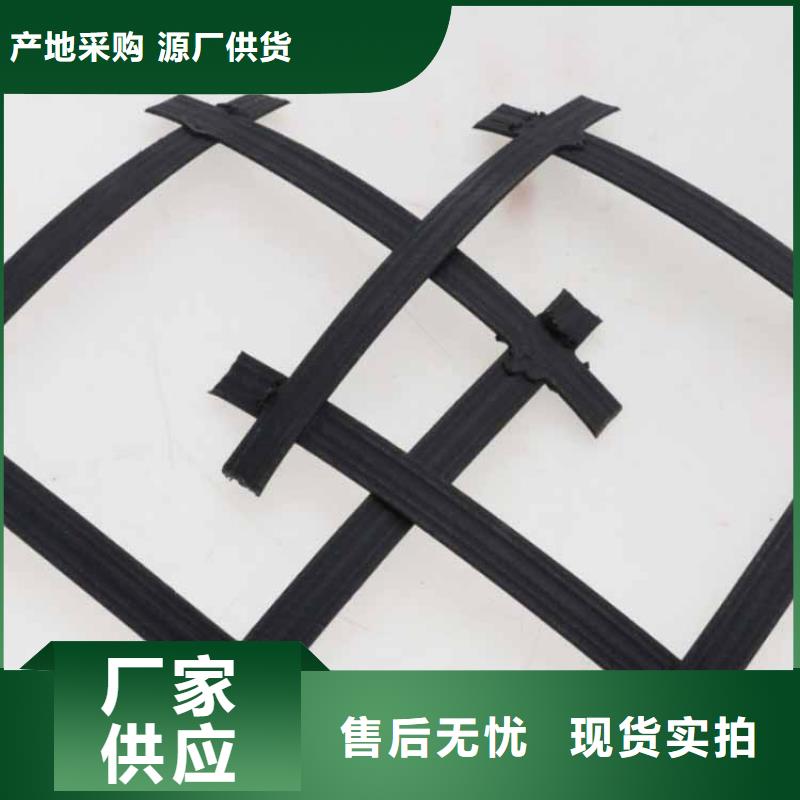 土工格柵-土木格柵