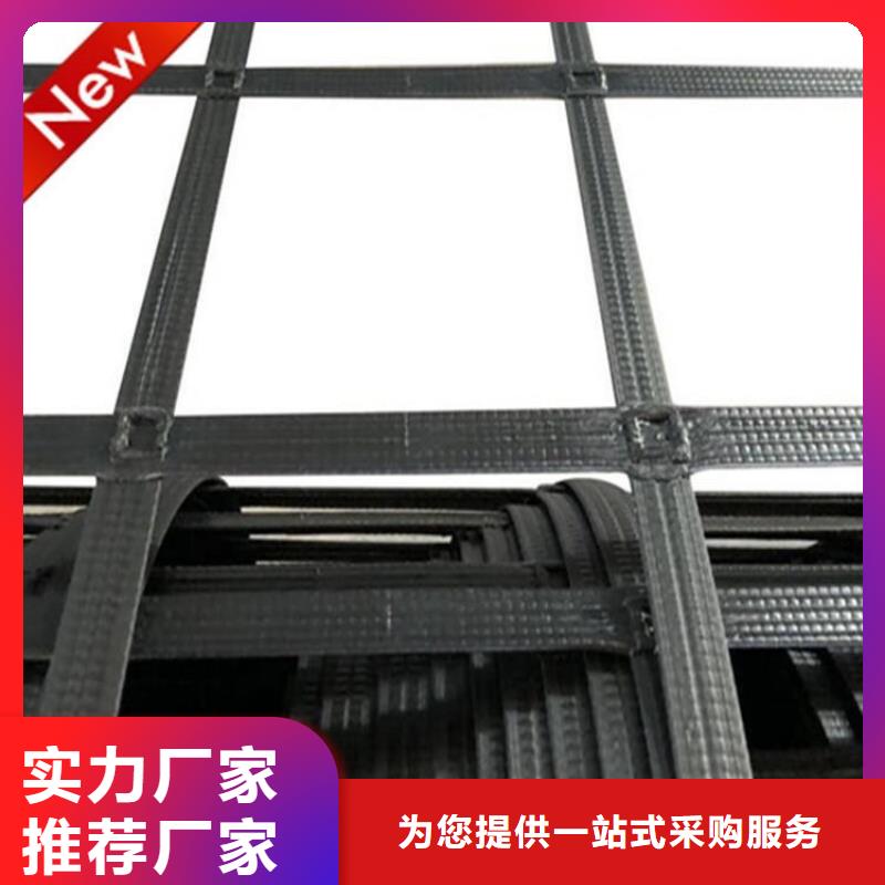 玻璃纖維格柵-PE土工格柵