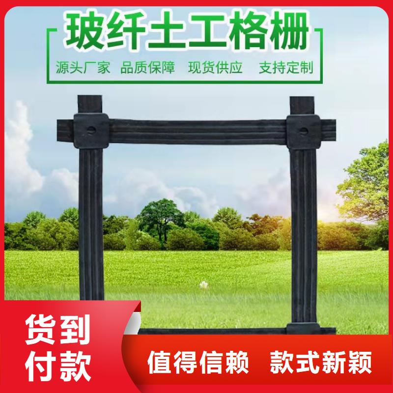 滌綸土工格柵-養(yǎng)殖土工格柵-邊坡土工格柵
