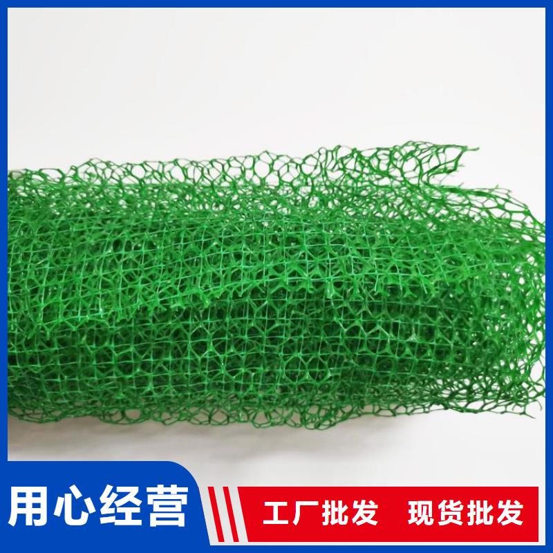 三維加筋植草網墊供應經銷