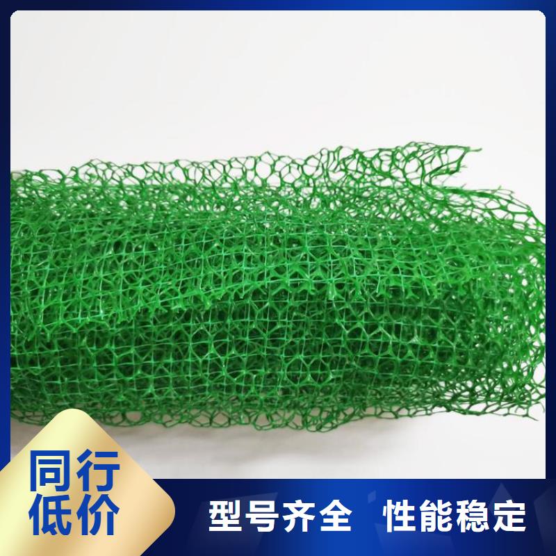 三維固土網(wǎng)墊#邊坡EM5