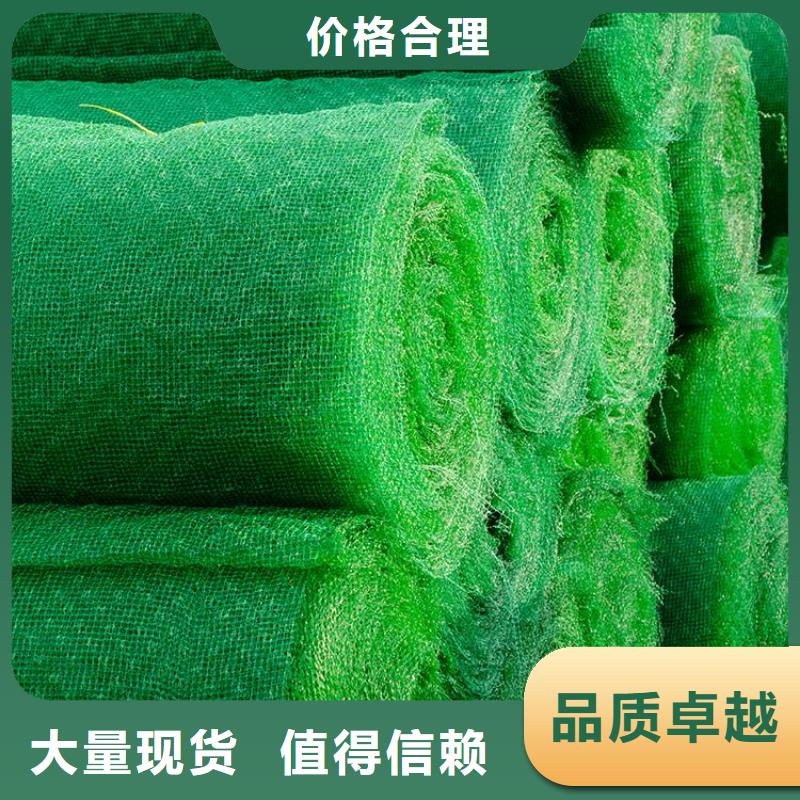塑料EM4三維加筋土工網墊