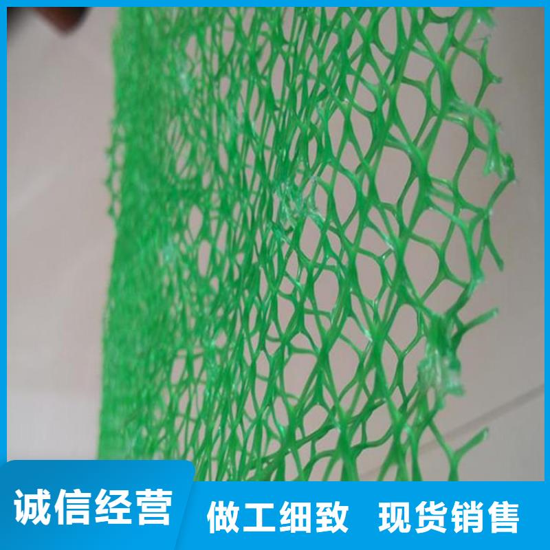 綠化草皮三維加筋土工網(wǎng)墊