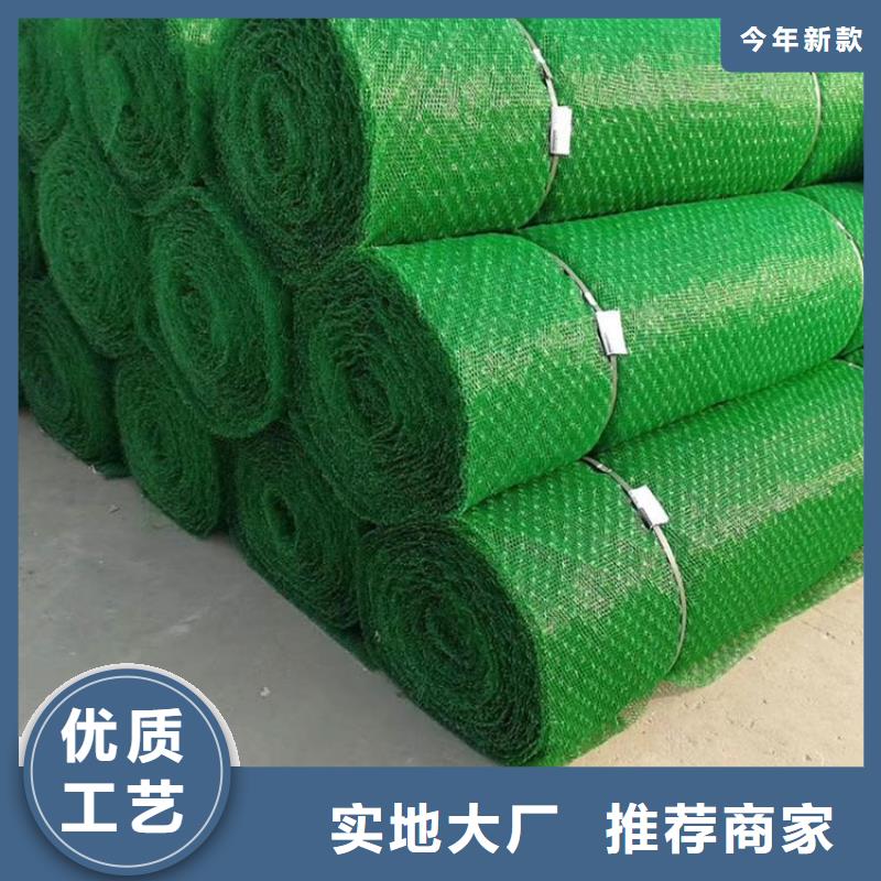 三維護(hù)坡植草網(wǎng)墊歡迎電詢