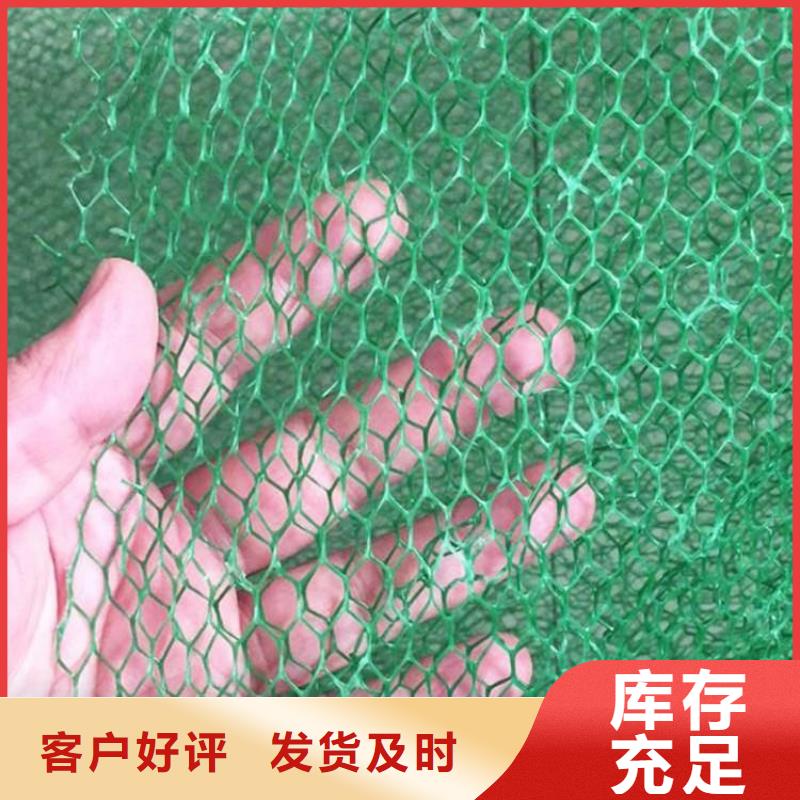 三維固土網(wǎng)墊#草皮加筋